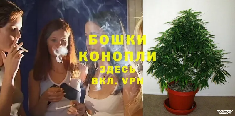 магазин продажи наркотиков  Зерноград  Каннабис LSD WEED 